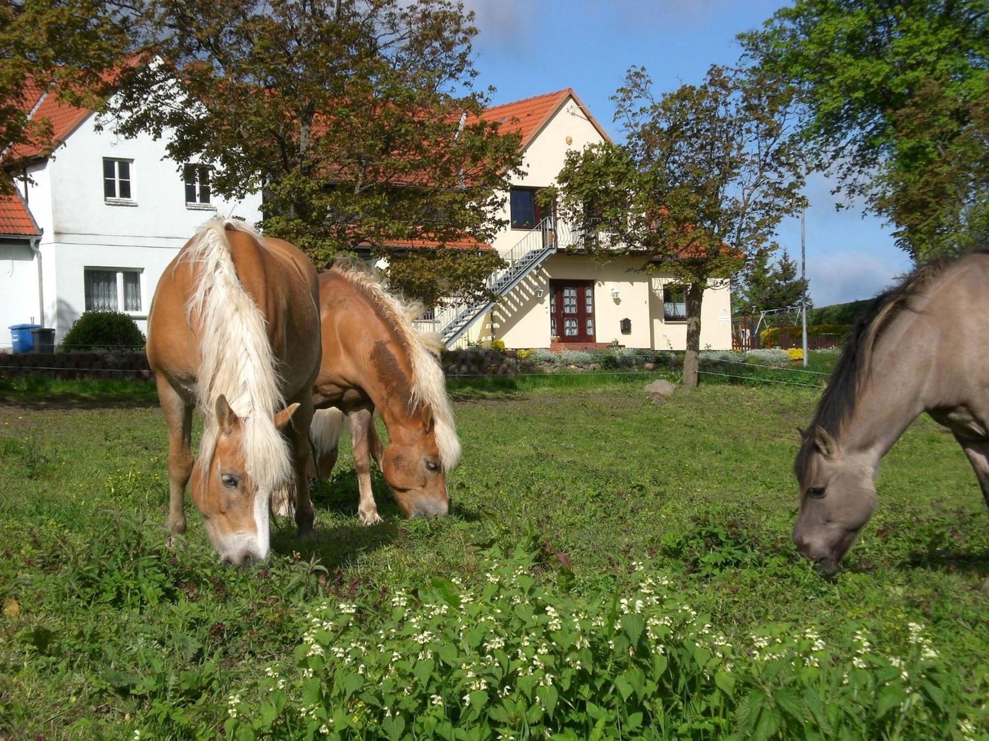 Snug Apartment In Kr Pelin Germany Klein Nienhagen Εξωτερικό φωτογραφία